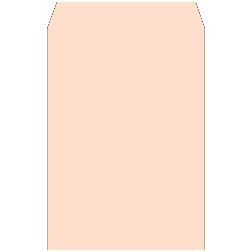 【在庫限り】角1　ナチュラルカラーベージュ　100g　中貼