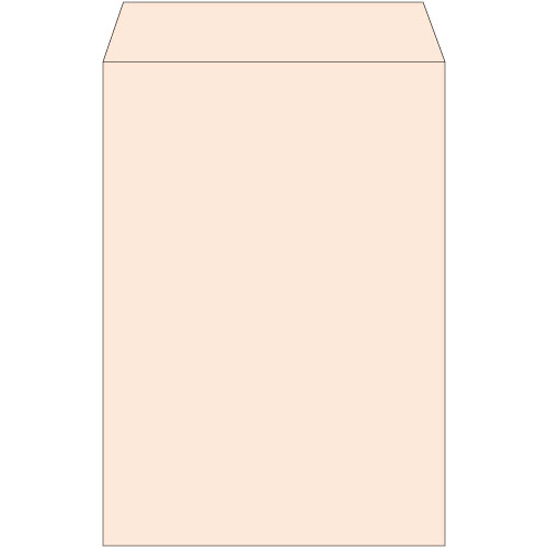 角20　ナチュラルカラーベージュ　100g　サイド貼