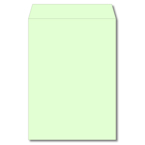 【加工】角2　ナチュラルカラーグリーン　100g　サイド貼　ワンタッチ付き 