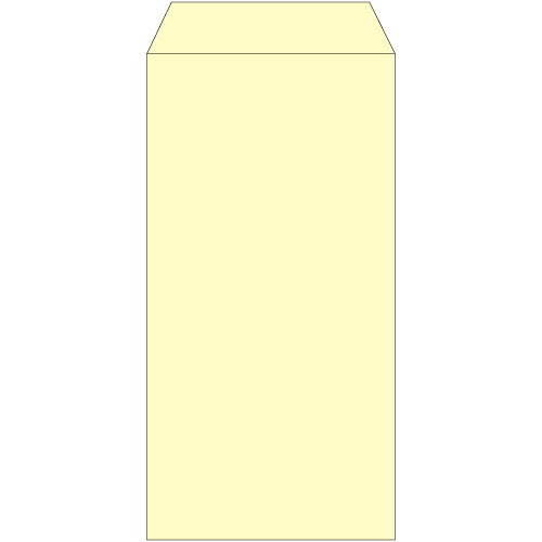 長3　ナチュラルカラークリーム　80g　中貼　郵便枠なし