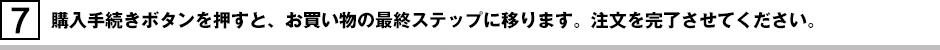 購入手続きボタンを押すと、お買い物の最終ステップに移ります。注文を完了させてください。
