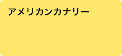 アメリカンカナリー